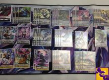 Budget Deck List: Shadow Paladins